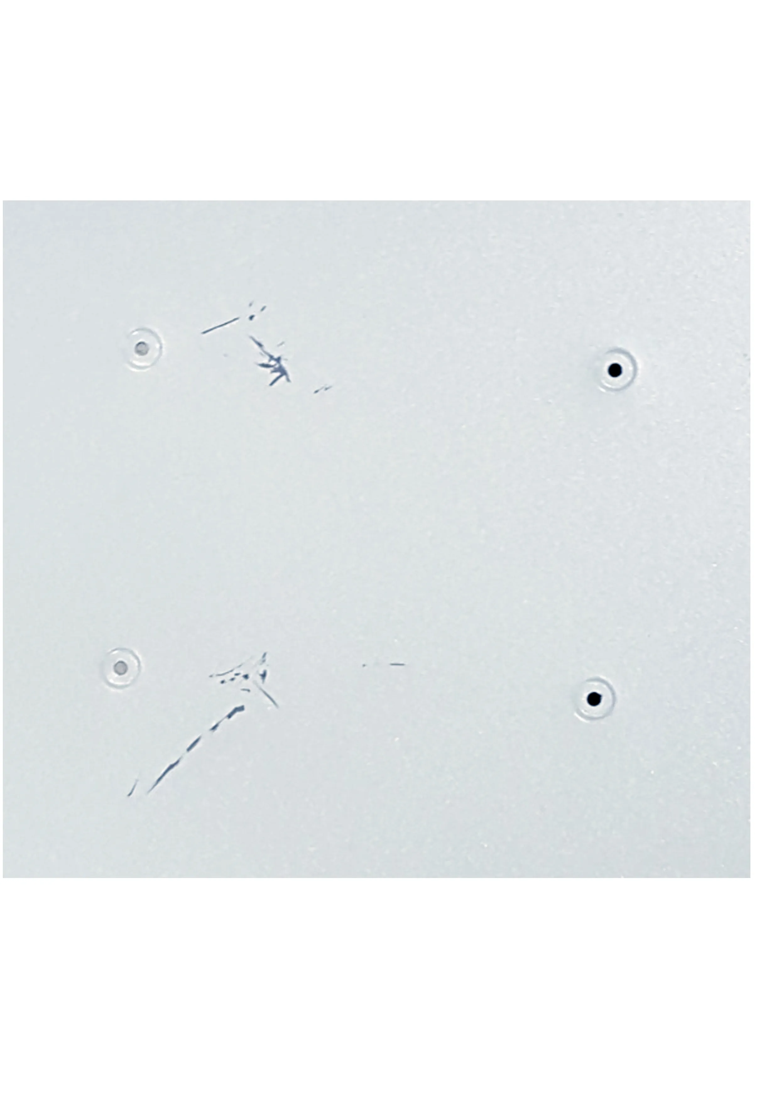 Антенна спутниковая Супрал 0,9 м с царапинами