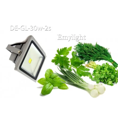 Фитопрожектор светодиодный DE-GL-30W-IP65-ПС полноспектральный Фитопрожектор светодиодный DE-GL-30W-IP65-ПС полноспектральный